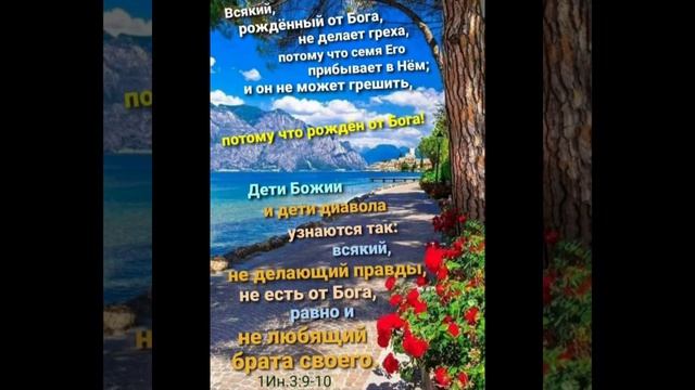 Не одним хлебом живёт человек! смотреть онлайн