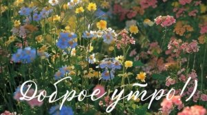 Лучшие пожелания на утро: начинаем день с улыбки #доброеутроспожеланиями #хорошегоутра