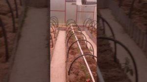 🧹🧺🏡 Живу в теплице Принимаю поздравления