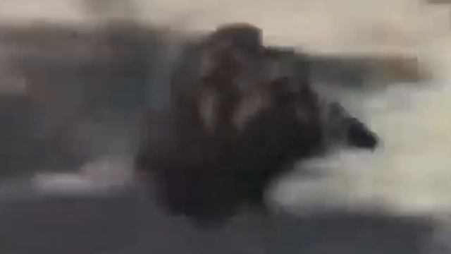 Борьба с совкой на огороде, спасаем табак. смотреть онлайн