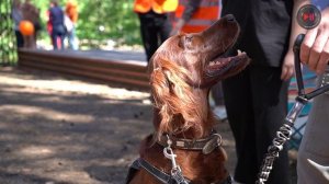 🎥 За кулисами поисков: как "Лиза Алерт" учит спасать и быть спасёнными.