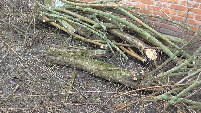 Акумуляторна пилка PROCRAFT  Пиляємо на повну СамСобіПан