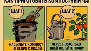 4 мощных лайфхака для сада и огорода без химии — выращ?