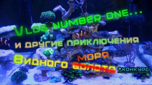 Vlog №1 и другие приключения Видного моря....