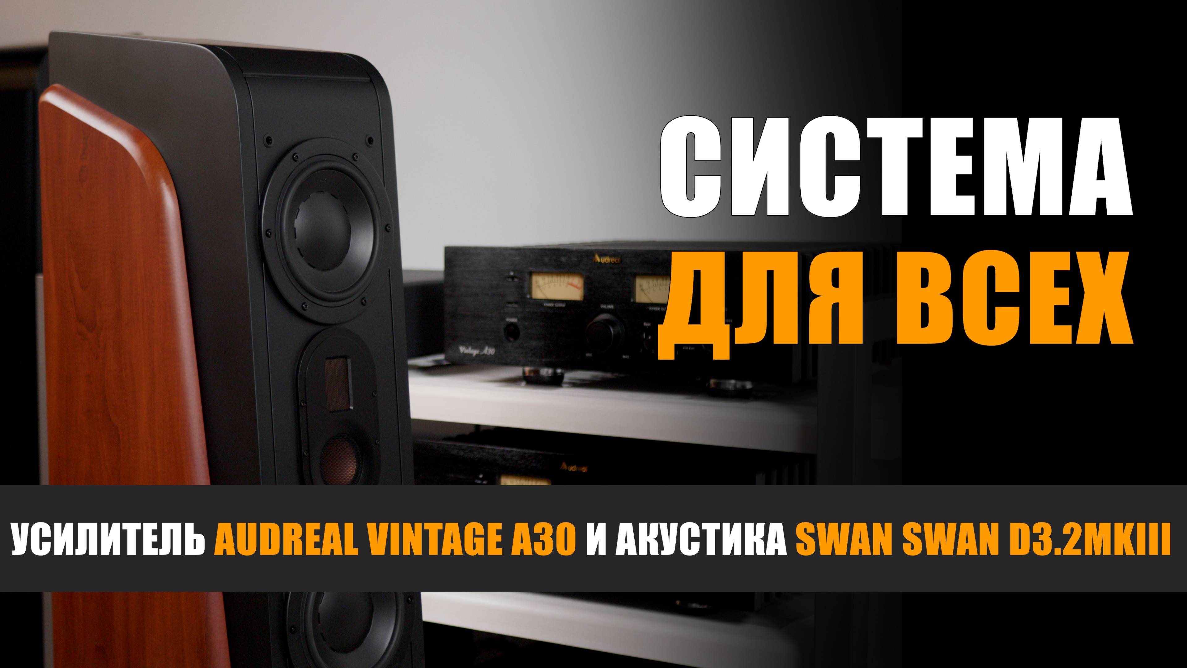 Система для всех. Обзор акустики Swan D3.2 MKIII и усилителя Audreal Vintage A30
