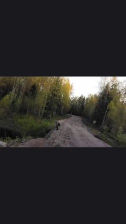 лесная Карельская речка