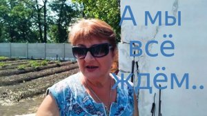 Что купили , что происходит у нас и ...Макеевка ДНР Россия .