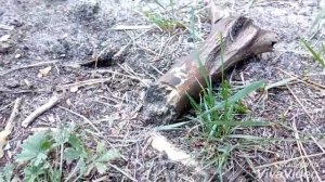 «Нет пути назад» 8 серия