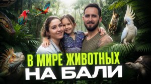 СПАСЛИ ЧЕРЕПАХУ на Бали | Чего нам это стоило?