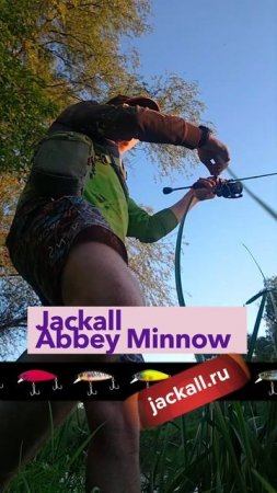 Jackall Abbey Minnow  #fishing #jackall #japan #new