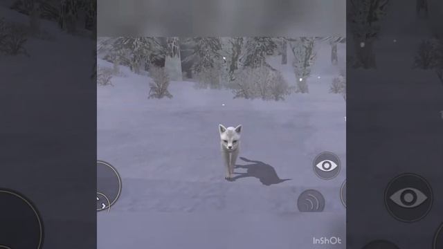 Мини-фильм WildCraft “ проклятие чёрной молнии» 1 серия 🖤 смотреть онлайн