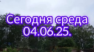 Вот такой сегодня день// Завтрак с рассуждениями. (04.06.25.)