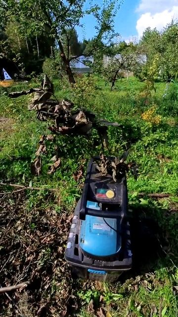 Измельчитель веток #insta360 #insta360oners1inch смотреть онлайн