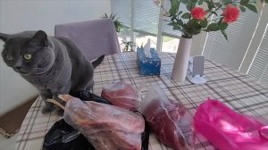 Говядина подорожала/Дела домашние/Жизнь на пенсии/Дневник Натальи