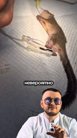 Это высший профессионализм! 🥇