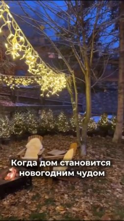 Когда дом становится новогодним чудом