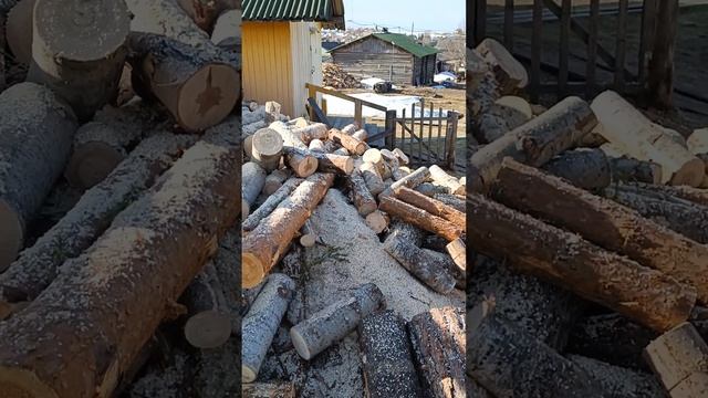 Пилю дрова. Бензопила барахлит.