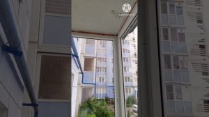 Огурчики на балконе 🥒🥒🥒