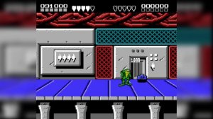 battle toads double dragon #1