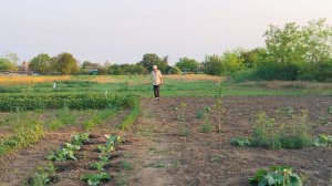 04-06-2025Жизнь простых пенсионеров. Огород, ремонт, хозяйство.