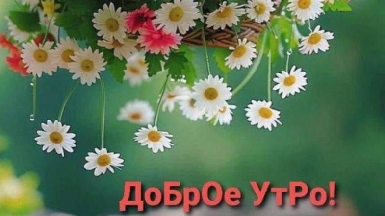 Доброе утро с добрыми пожеланиями: заряжаемся позитивом! #доброеутро #пожеланиядоброгоутра