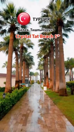 Crystal Tat Bech Golf 5* (Турция, Белек, Ташлыбурун) We serve (Premium) (2)