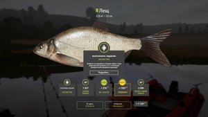 Русская рыбалка 4. р. Сура. Задания. Лещ