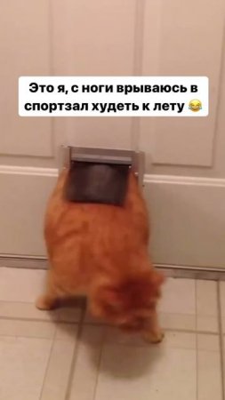 😂😂😂