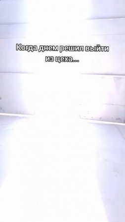 Когда выходишь из цеха днем