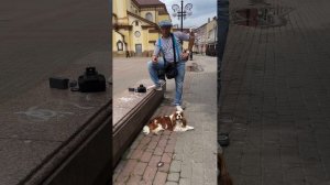 Вперед за Жоржинами :)