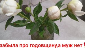 У нас годовщина/пеку пп торт в микроволновке/почему достигая успеха люди меняются?!