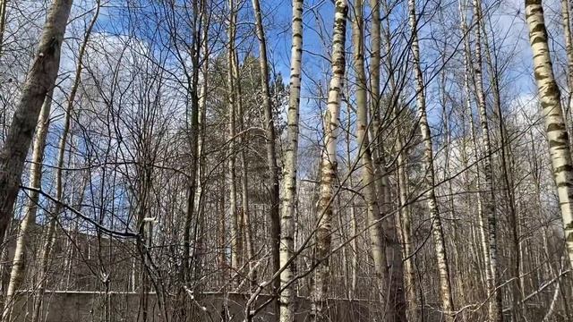Посетили радиотелескоп рт64 в городе Щелково vlog