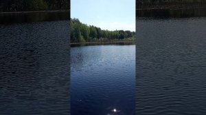 1000021709.mp4