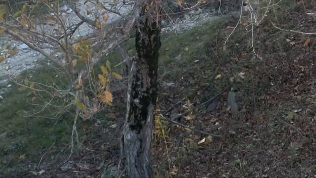 Гора Змейка. Часть 2. смотреть онлайн