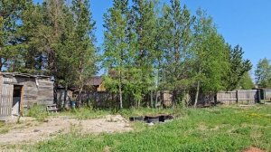 4293948 Победит 2