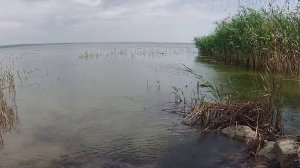 РЫБАЛКА В ТАГАНРОГСКОМ ЗАЛИВЕ. СИЛЬНЫЙ ВЕТЕР