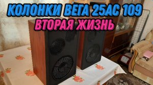 Доработал и улучшил оригинальные колонки ВЕГА 25АС 109