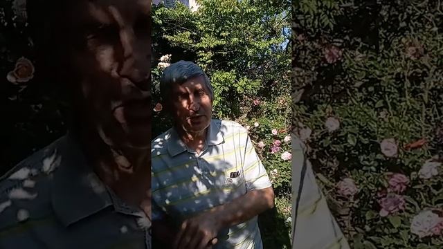 78 лет со Дня Рождения 3 июня Валерия И.Качуры. Его планы на Будущее.Универсолис. Мир Универсологии