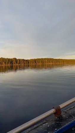 Красота на озере!