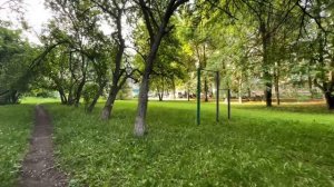 Тропинка через зелёный двор, лето 2025.  #топыкатегорий