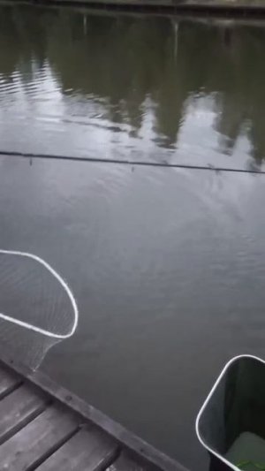 КРХ ТРИФОН