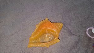 Ракушка из смолы.