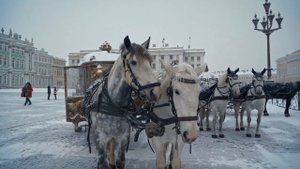 Экскурсия по Санкт-Петербургу