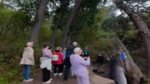 Поездка на Телецкое озеро