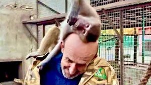 Люська КОШМАР! Села на голову и в прямом и в переносном смысле и просто ОТБИРАЕТ к меня ТЕЛЕФОН)))