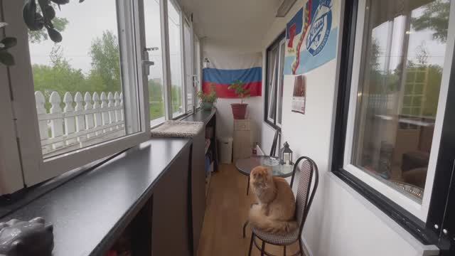 Квартира с большой лоджией в Славянке смотреть онлайн