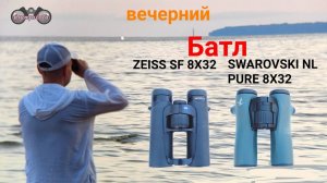 ZEISS SF 8X32 & SWAROVSKI NL PURE 8X32. Тесты