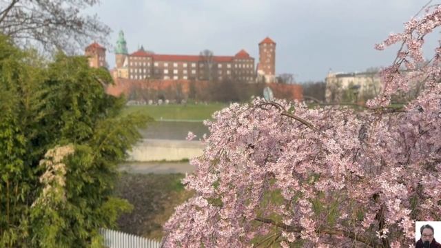 Время от времени надо говорить родным людям "нет"! смотреть онлайн