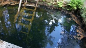 ООПТ источник СВЯТЫНЬКА