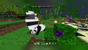 ЗАХВАТИЛИ ВСЕ ИВЕНТЫ на АНАРХИИ NEVER TIME ❤️🔥 | Minecraft Bed